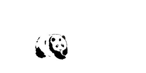 project by gobis paints.jpg